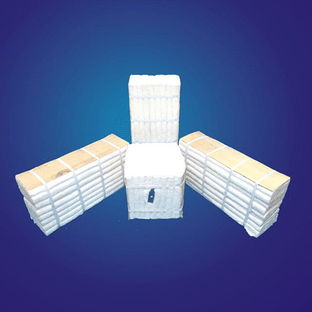 Ceramic Fiber Modules