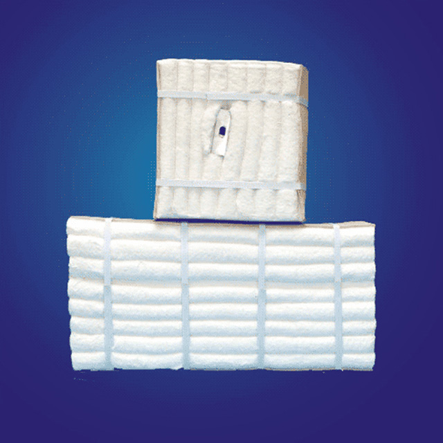 Ceramic Fiber Modules