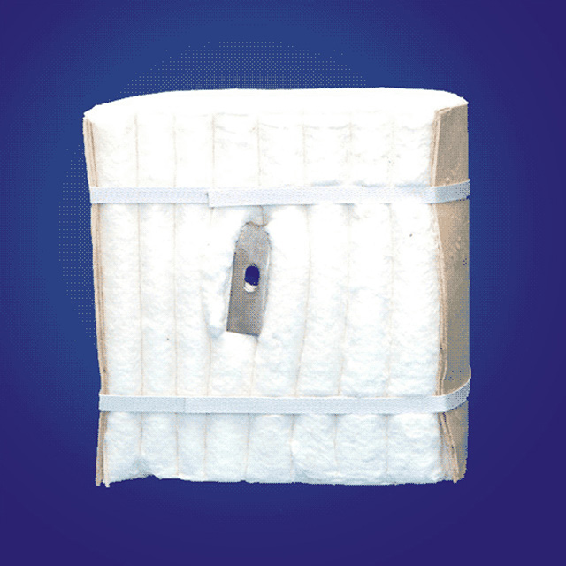 Ceramic Fiber Modules